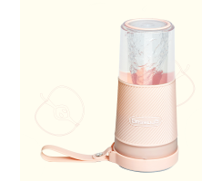 Grossag Akku Smoothie Mixer to-go, 300ml, Türkis, MX 10.05 (1379)