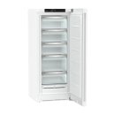 Liebherr Standgefrierschrank, FNd 4625 Plus, mit NoFrost, 59,7 x 145,5 cm, 199 l, EEK: D