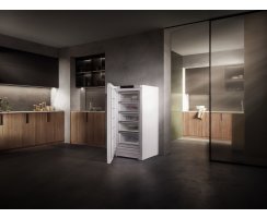 Liebherr Standgefrierschrank, FNc 6625 Plus, mit NoFrost, 69,7 x 145,5 cm, 260 l, EEK: C