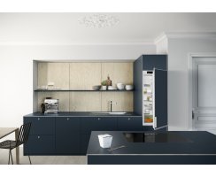 Liebherr Einbaukühlschrank mit Gefrierfach, DRe 4101 Pure, dekorfähig, inkl. Alu-Dekorrahmen, Nische 122 - 122,6 / 56 - 57 / 55,0 cm, 182 l, EEK: E, EasyFresh