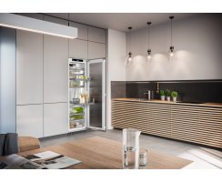Liebherr Kühlschrank, IRBPci 5170 Peak, integrierbar, mit BioFresh, 297 l, EEK: C